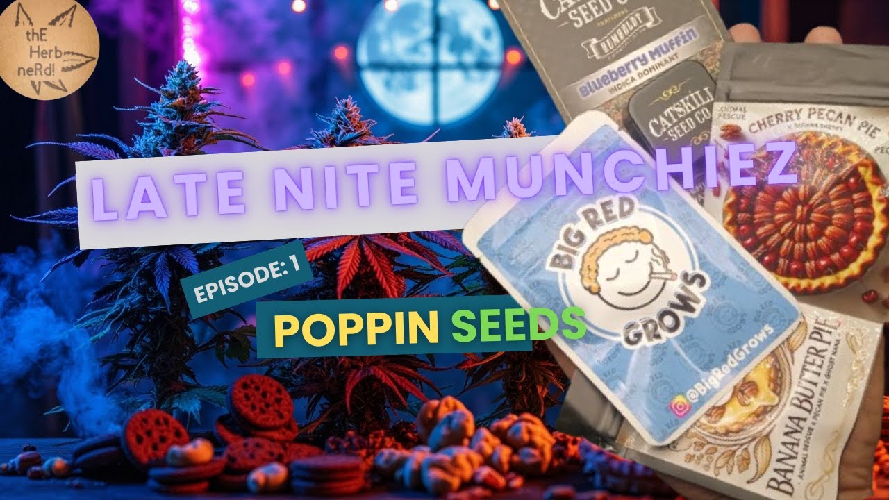 Late Nite Munchiez! Grow Series - Blueberry Muffins, Banana Butter Pie, Cherry Pecan Pie, Stashio
