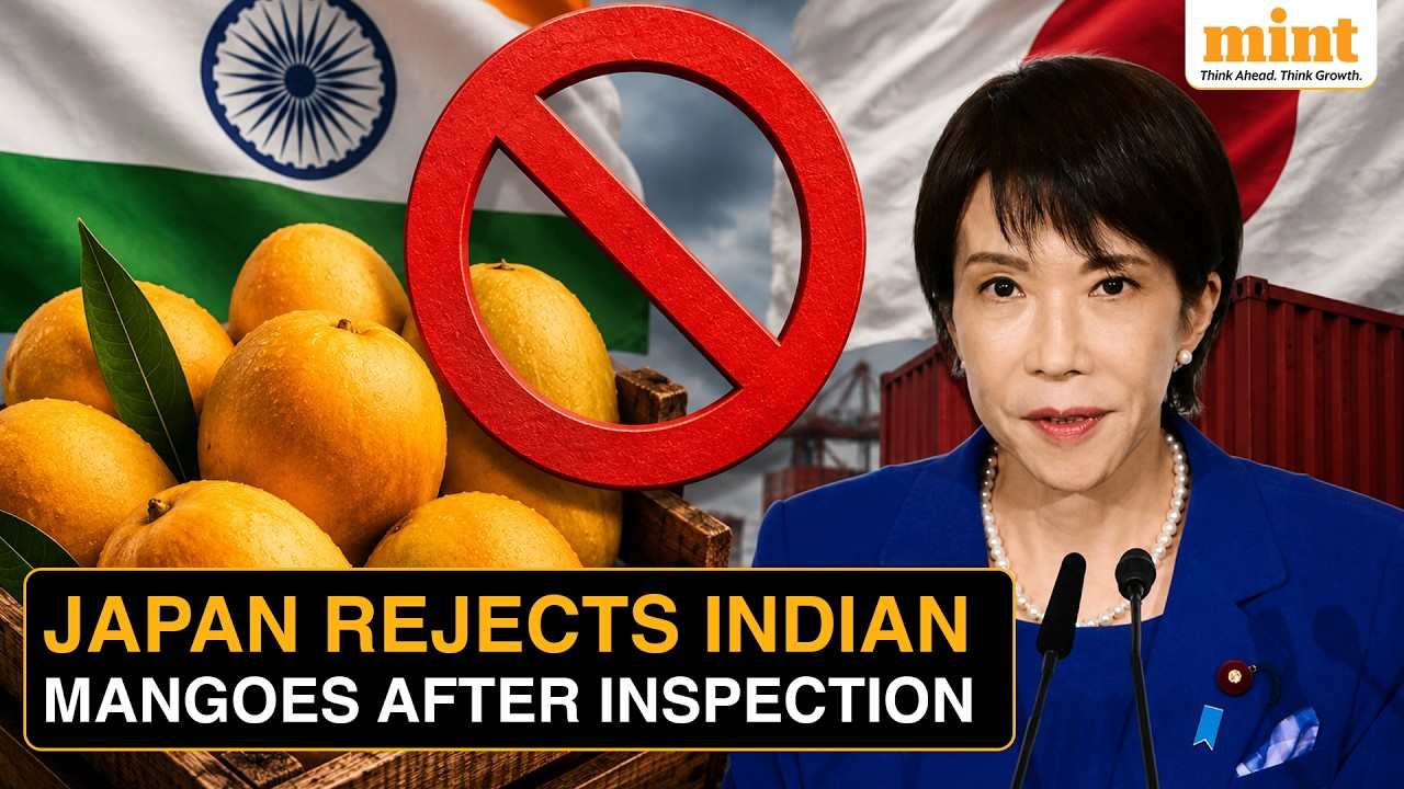 Japan Bans Indian Mango Shipments, Exporters Raise Questions Over Monopoly On Quality Control