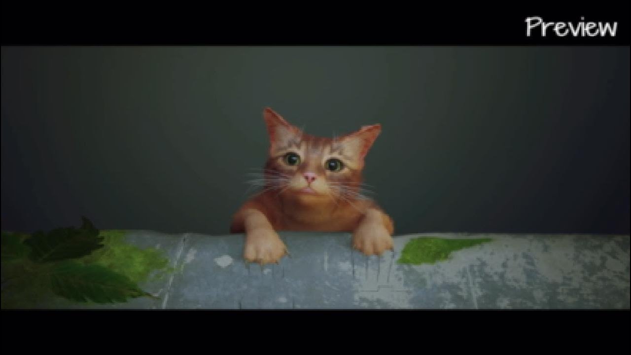 Cat Fall (Stray)