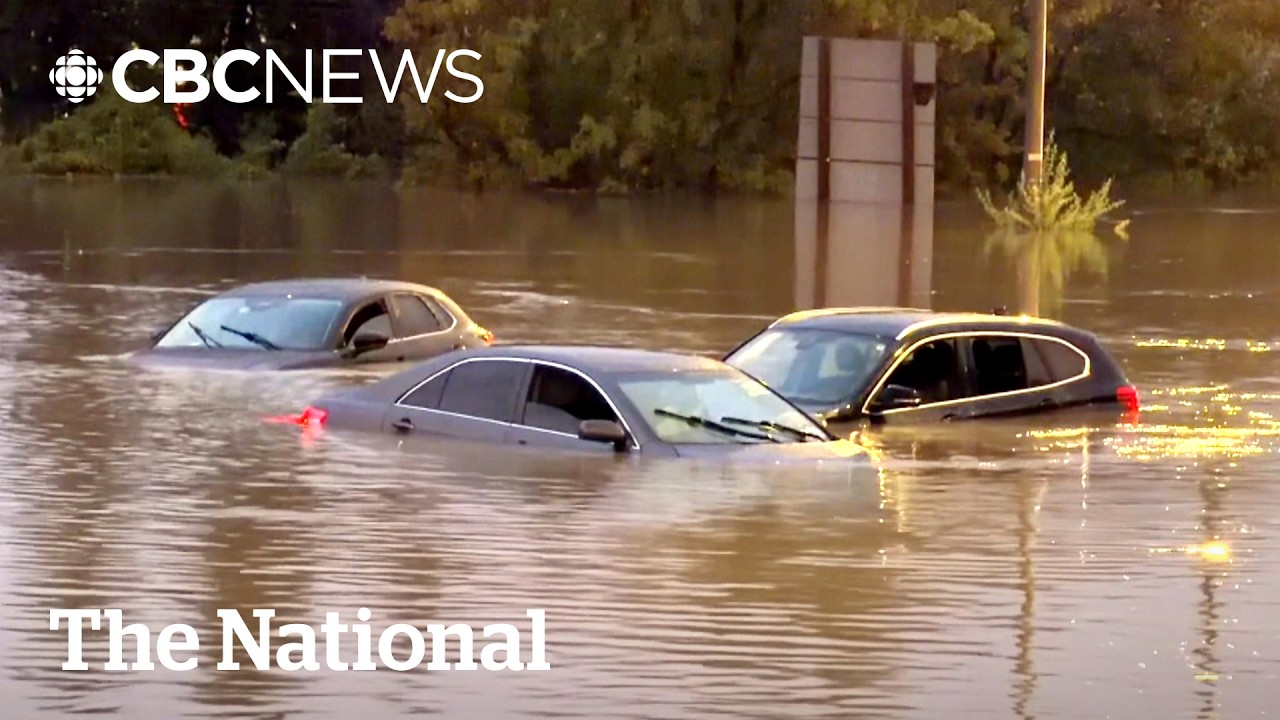Widespread damage across Toronto region after severe thunderstorm
