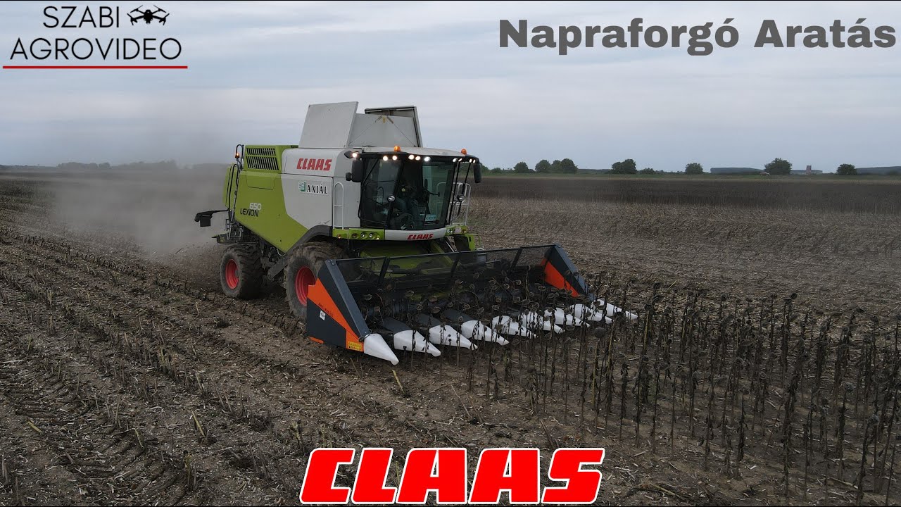 Napraforgó Aratás 2023 | Sunflower Harvest | 2x Claas Lexion 650