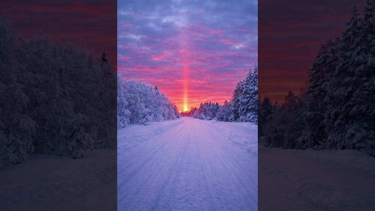 En president 