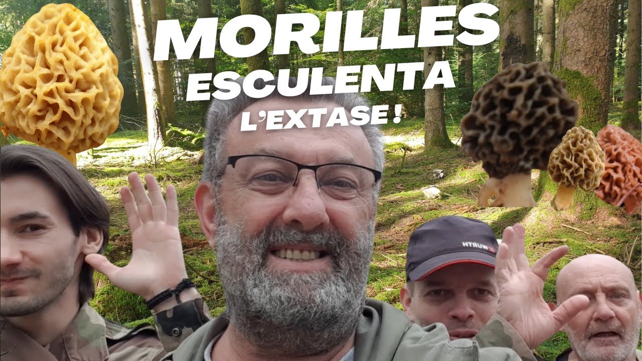 𝐌𝐎𝐑𝐈𝐋𝐋𝐄𝐒 𝐋' 𝐄𝐗𝐓𝐀𝐒𝐄 𝟎𝟑 𝟎𝟒 𝟐𝟎𝟐𝟒 🍄🌲