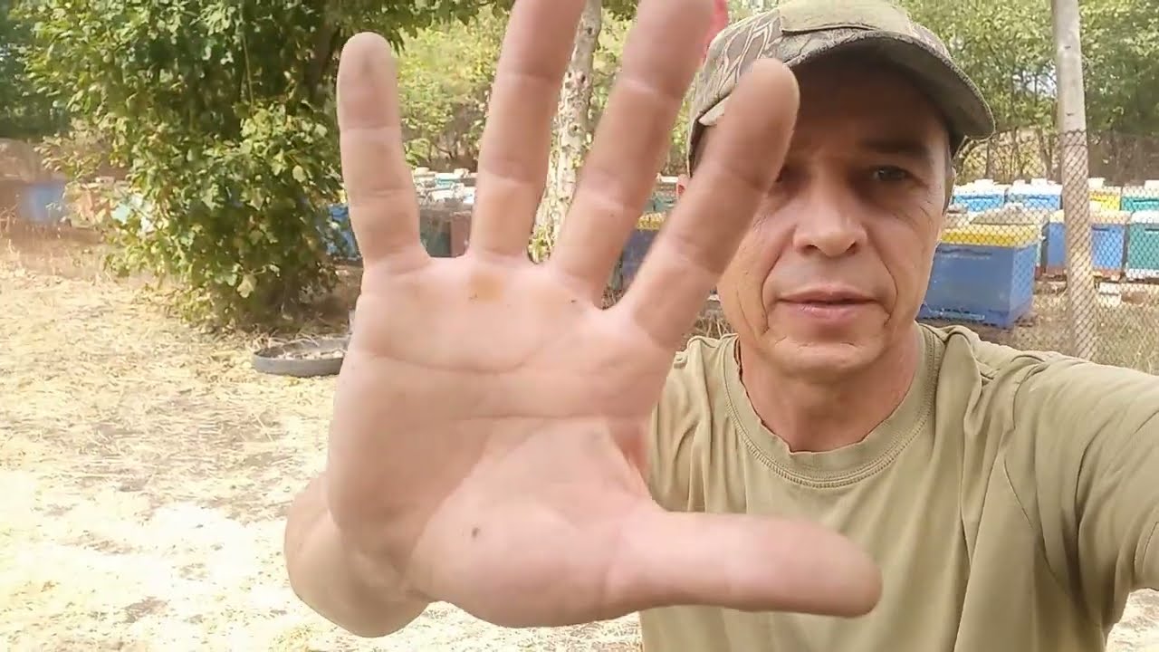 Эффективный рецепт от клеща Вароа
