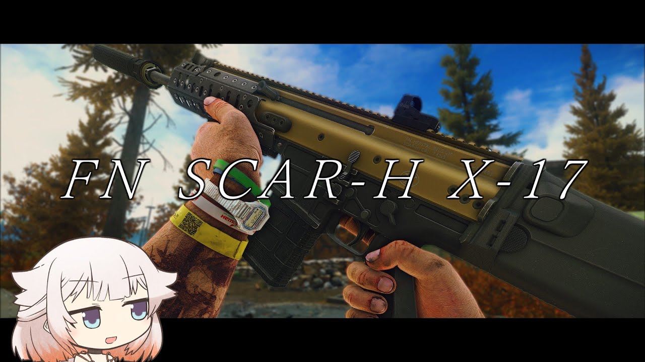 FN SCAR-H X-17 【タルコフ】ONE実況