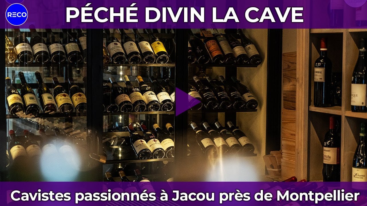Caviste à Jacou, proche de Montpellier : Présentation de La Cave Péché Divin [Par Reco.video]