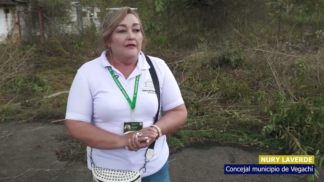 Opiniones Concejales sobre proyecto de vivienda en antiguo Ingenio.