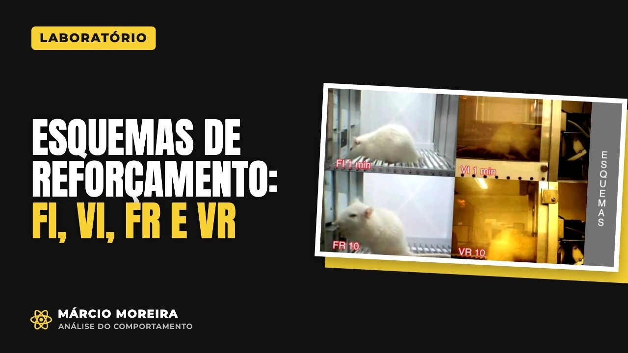 Análise do Comportamento: Esquemas de reforçamento FI, VI, FR e VR