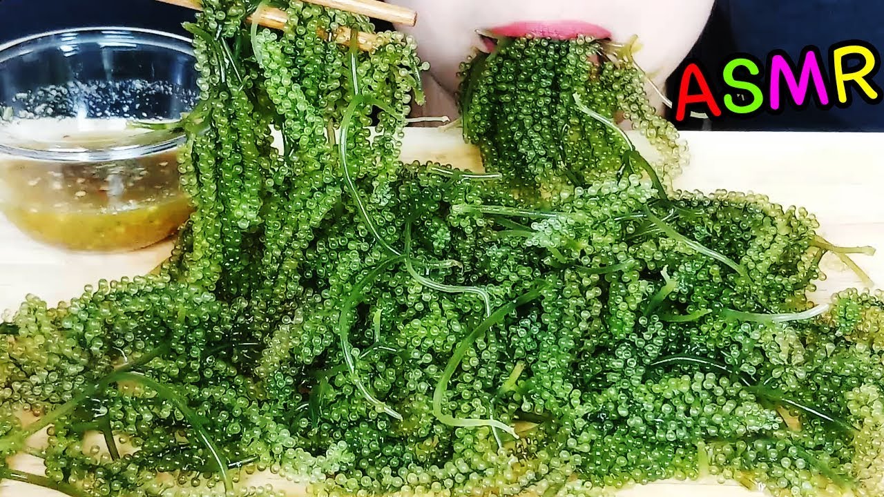 ASMR RAW SEA GRAPES PLATTER. EXTREME CRUNCHY SOUNDS. NO TALKING. ĂN RONG NHO GIÒN SẬT SẬT. KED ASMR