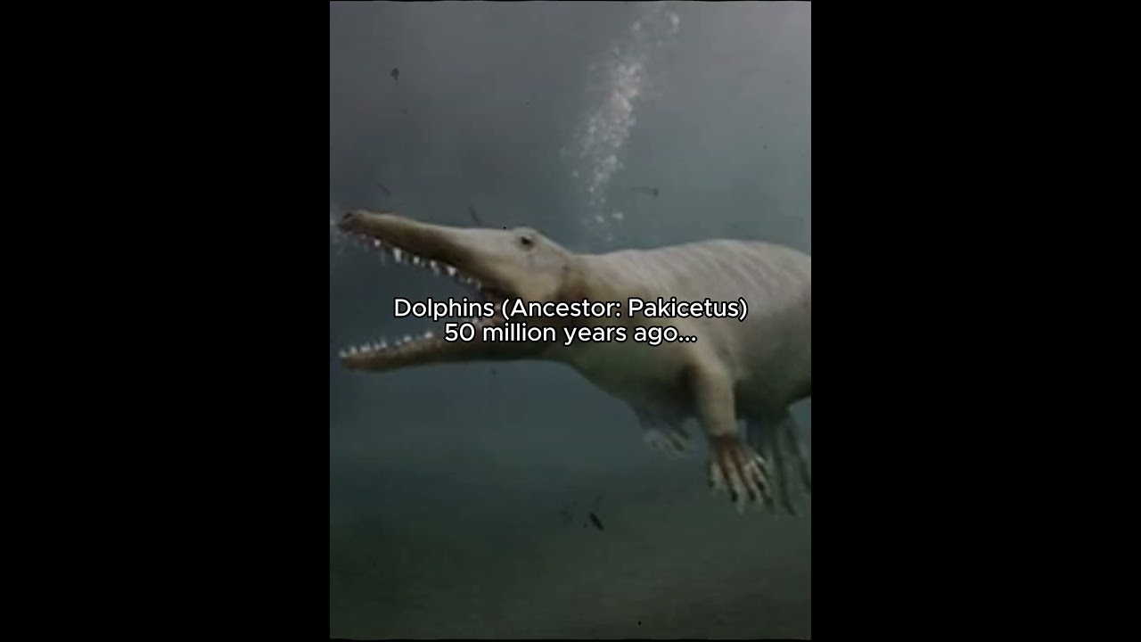 Modern Dolphins that were Once Terrifying Predators... #shorts #dinosaur #dolphin #horror