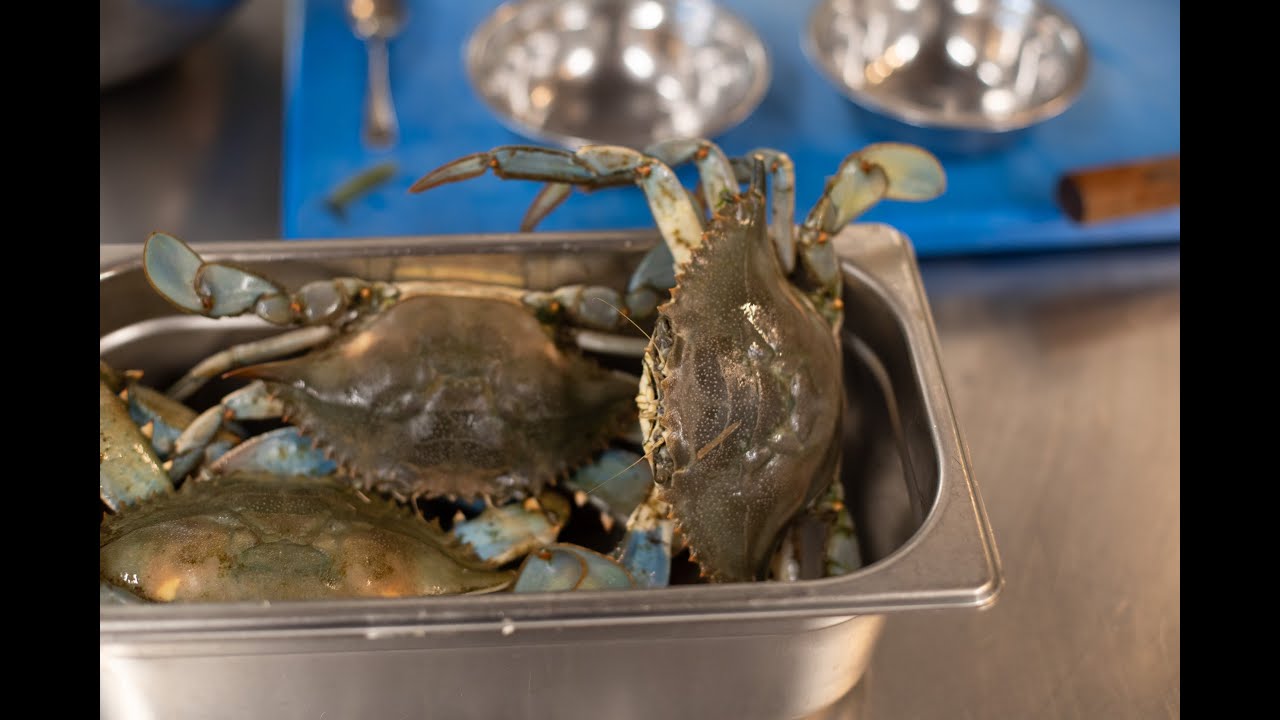 L'alieno nel piatto e l'impronta lieve sul pianeta