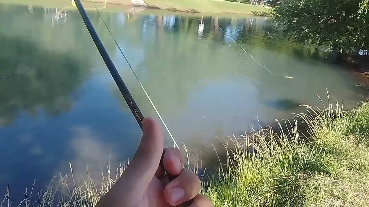 Pesca de carpas con Mosca, Neuquén Argentina