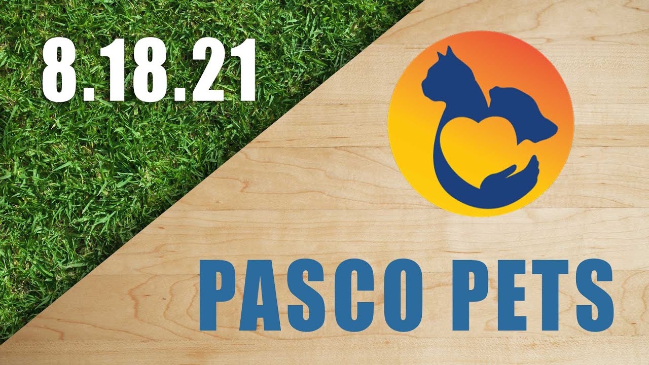Pasco Pets - 8.18.21