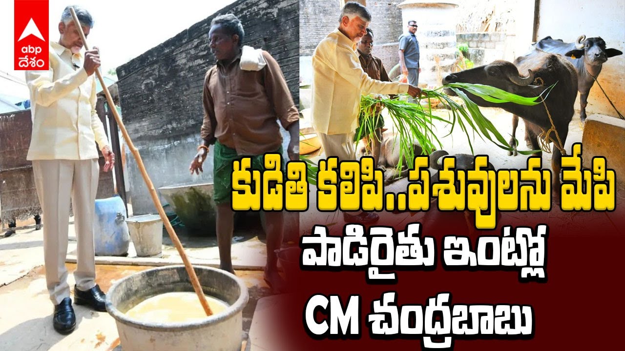CM Chandrababu Dairy Farmer House | పాడి రైతు కుటుంబంతో గడిపిన సీఎం చంద్రబాబు | ABP Desam