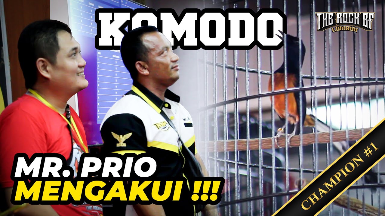 MR. PRIO MENGAKUI HEBATNYA KOMODO❗❗❗GRAND ANNIVERSARY VIKING ARENA
