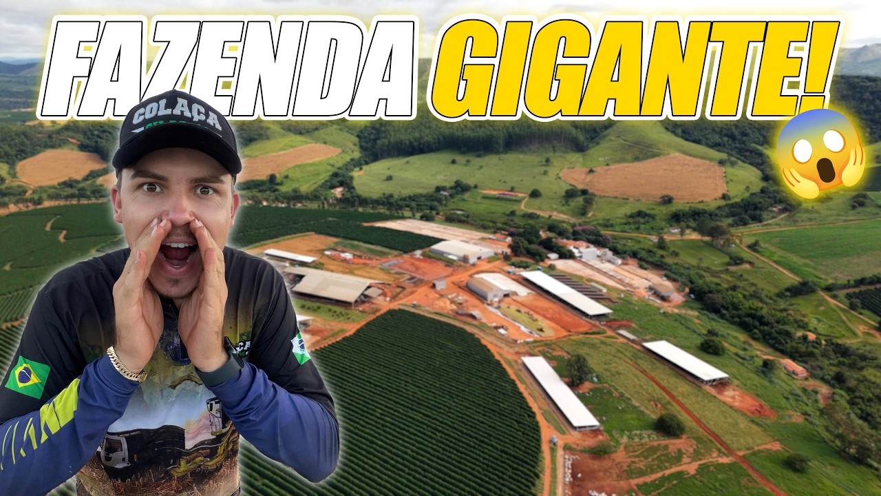 Cheguei em uma fazenda GIGANTE para fazer SILAGEM de milho em Minas Gerais