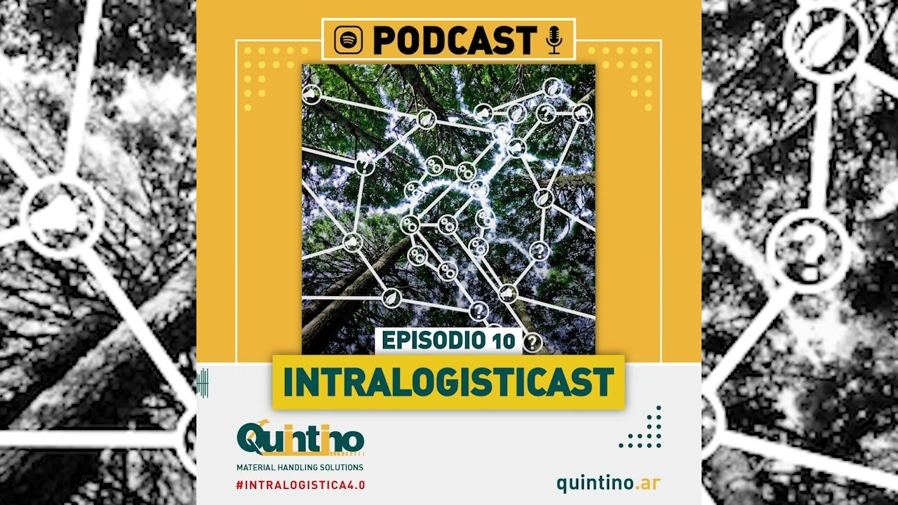 Episodio 10 . El gerente de sentido común. #Liderazgo #logistica #industria #podcast #intralogistica