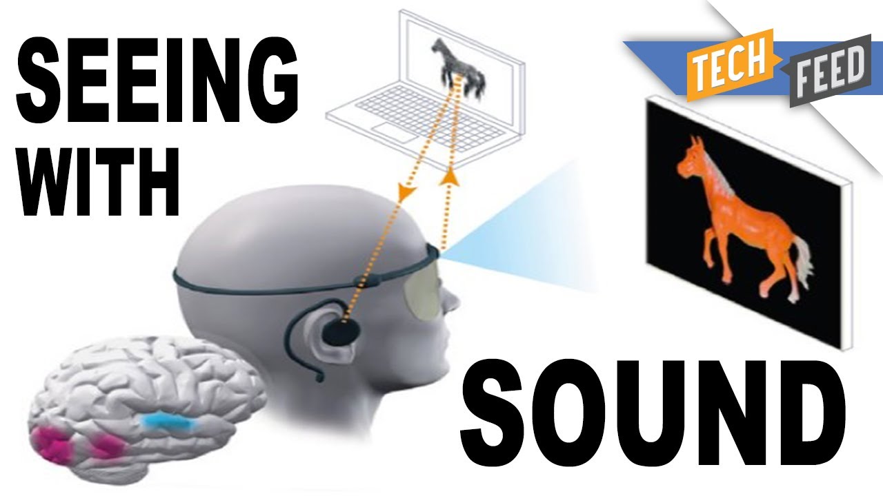 The vOICe Lets The Blind See With SOUND!