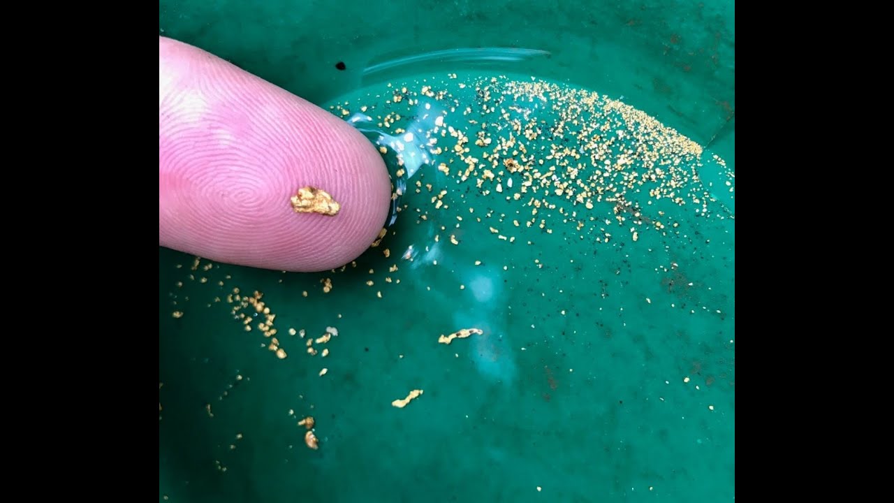 Gold Prospecting in The Sierra Nevada Mountains. Found Gold!