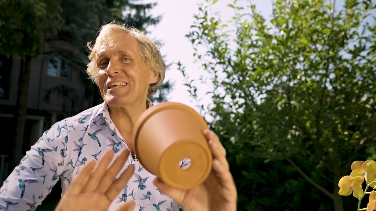 Jak przesadzać rośliny domowe