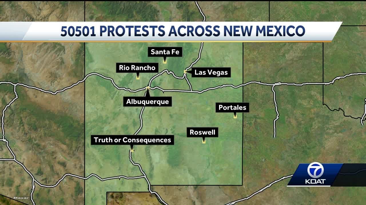 50501 protests here and everywhere