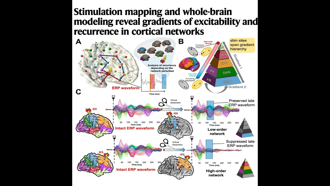 601-Stimulation mapping and whole-brain modeling