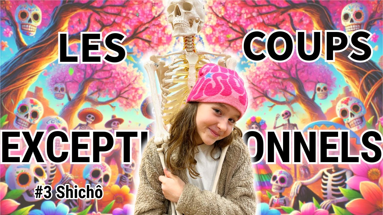 Shichô or not chichô ? Cours débutants #3 (24kyû) | Jeu de Go