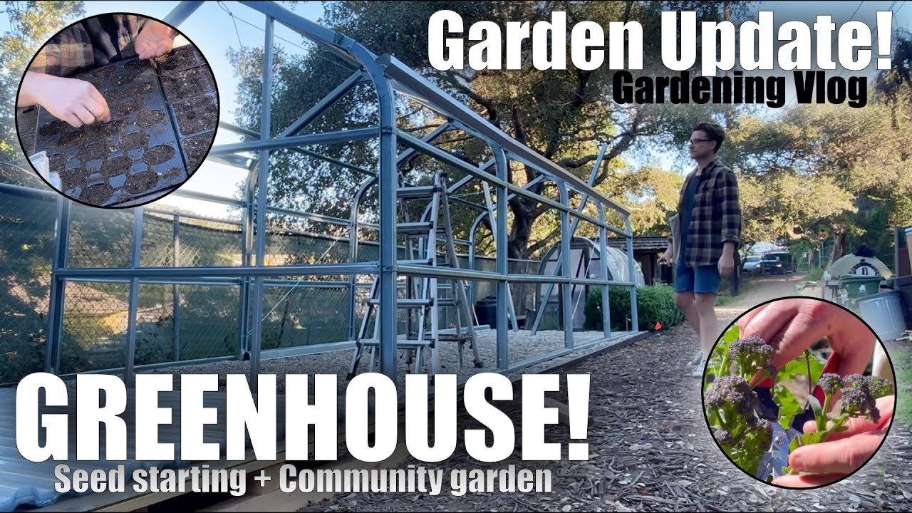 Zone 10b Garden Update Building a Greenhouse, 1600+ Tomato Seeds, & Weed Control Tips!