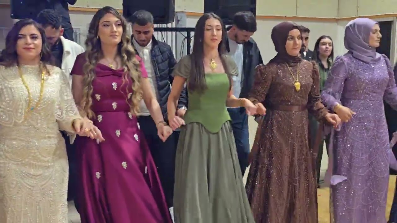 Varto mamahik köyü serhat Tarhan düğünü Rochefort part 4