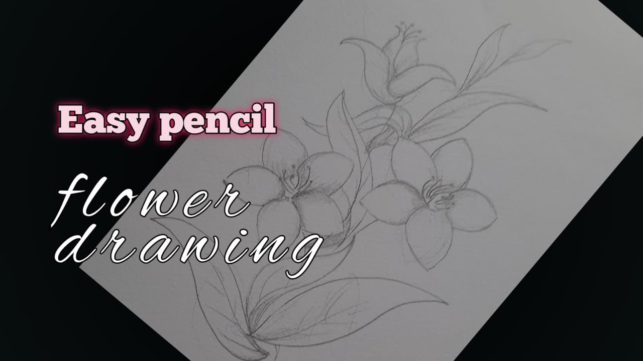 My Wealth| Flower design drawing🌻| Pencil art| Ino's Life 💕| Sri Lanka  🇱🇰