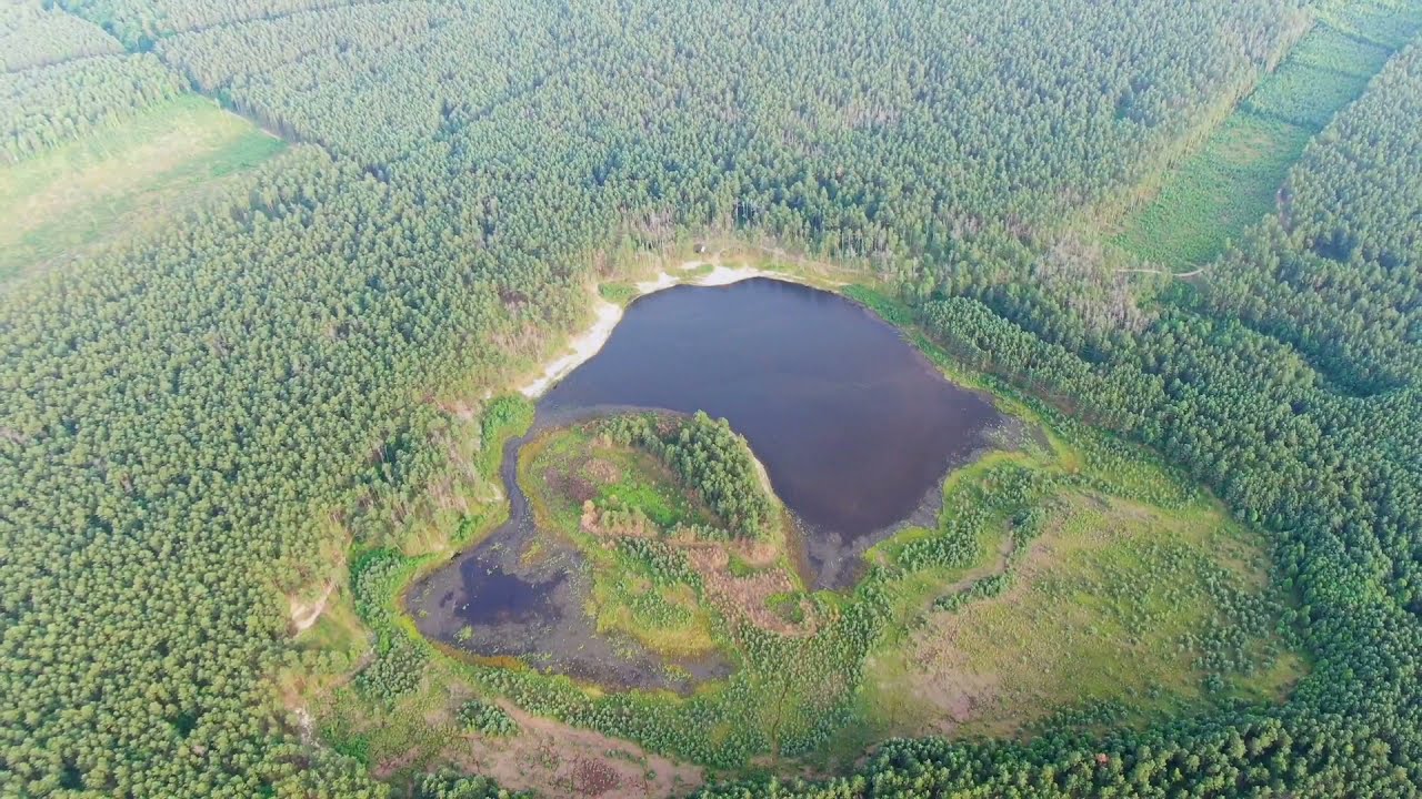 Озеро Святе або Святе озеро, неподалік Ізяслава, Шепетівський район