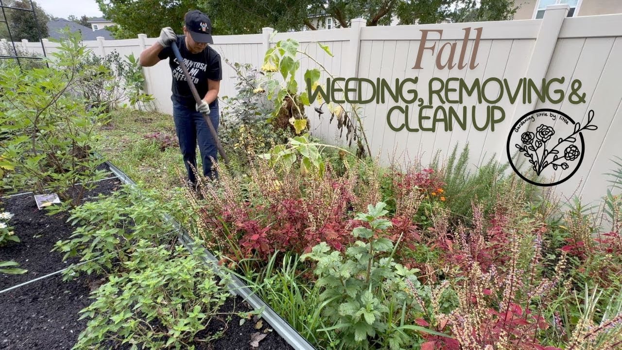 Fall Garden Clean Up. Removing and Transplanting some perennials. #gardening #fall  #cleaning