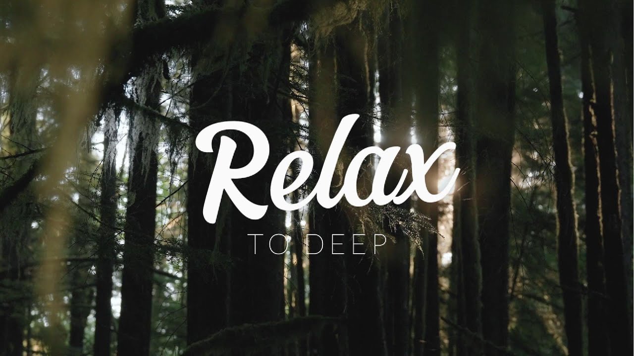 The Healing Power Of Nature Sounds | Forest Sounds | Scenic Relaxation Film