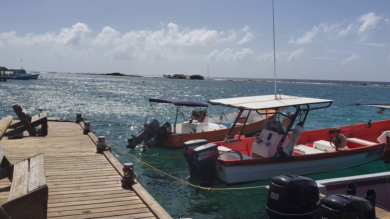 4k aruba - zeerovers restaurant