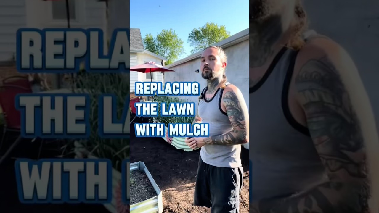 How I replace my lawn with mulch in the garden. #gardening #garden #lawn
