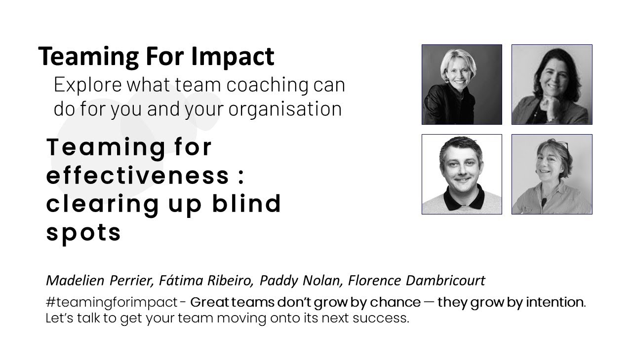 Teaming For Effectiveness : clearing up blind spots.