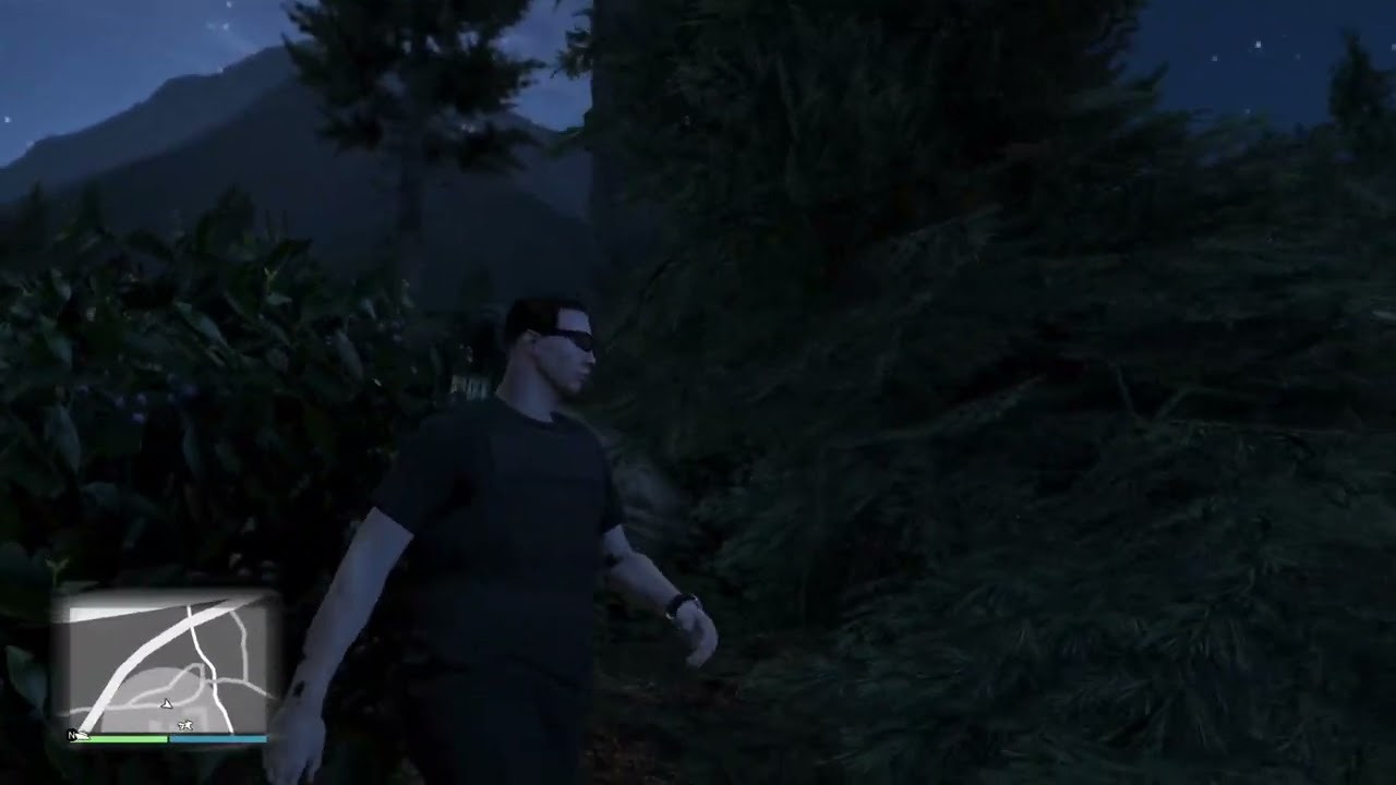 GTA 5 online