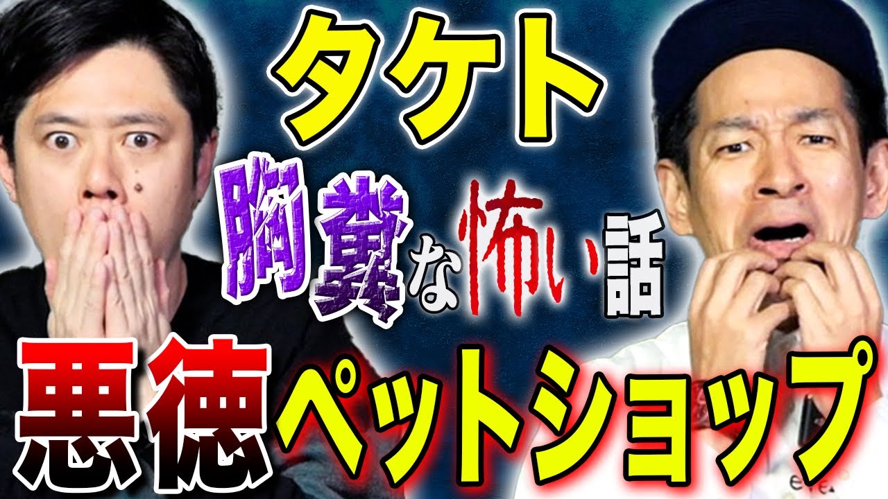 【タケト】悪徳ペットショップと手を組んだ女の恐ろしすぎる手口！実際にあった怖い話