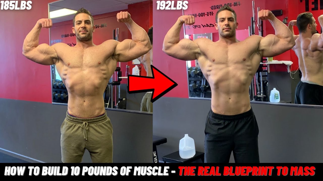 How to Build 10 Pounds of Muscle -  The REAL Blueprint to Mass