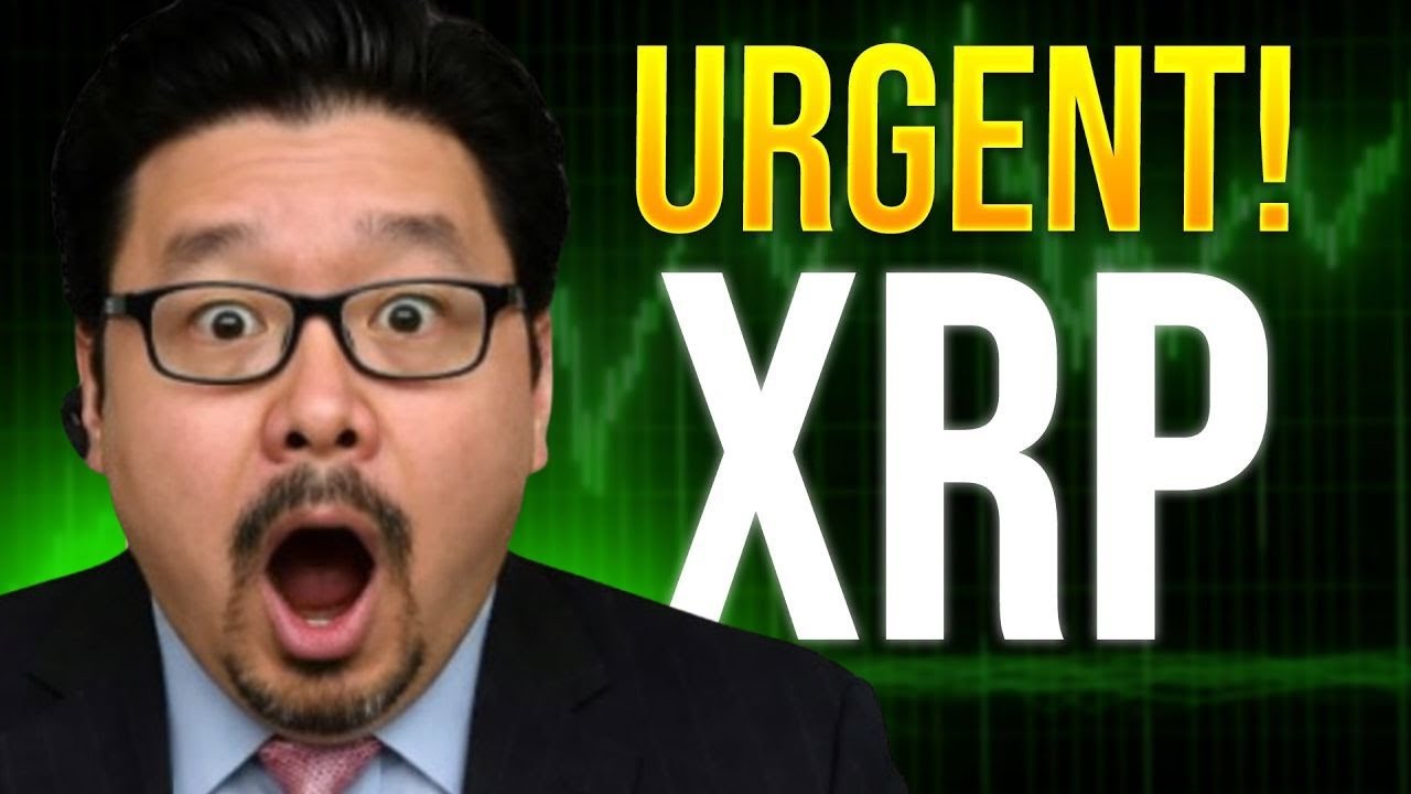 OMG XRP THEY PASSED IT, BUT CRASHING! 🚨 WATCH ASAP