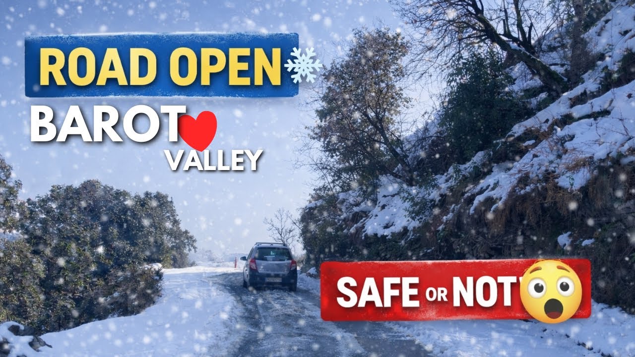 Road Condition of Barot Valley After Snowfall ❄️ | Safe or Not?