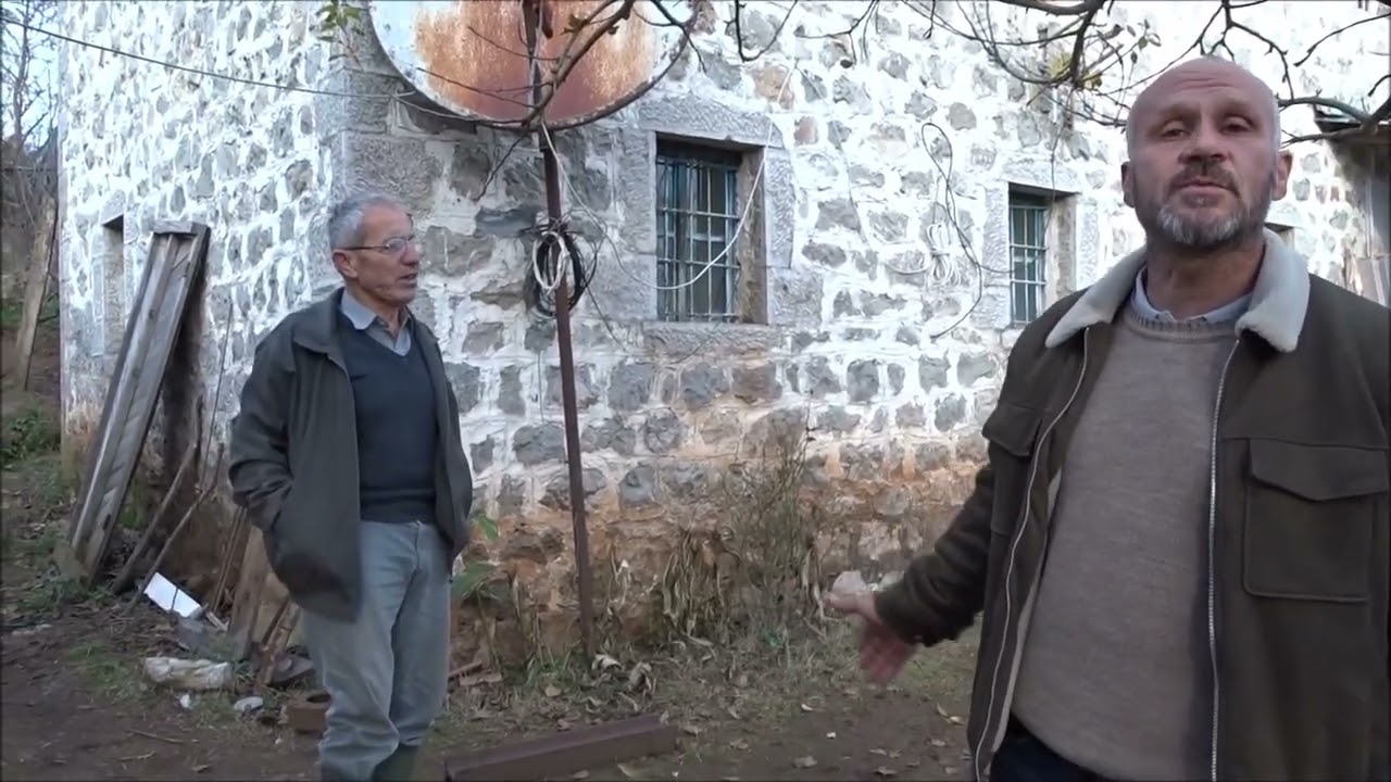 Zejtari i samareve ne Laç te Matit