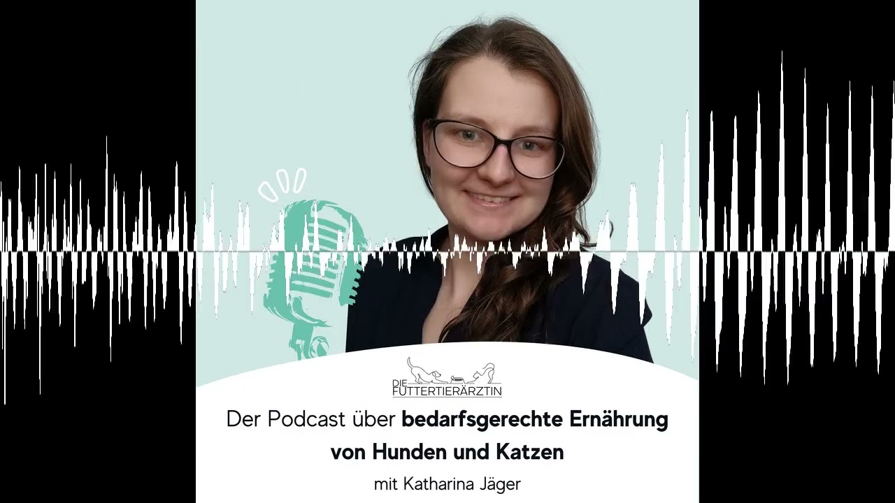 BARF und Rohfleischfütterung: Was ist es und welche Vor- und Nachteile hat es?