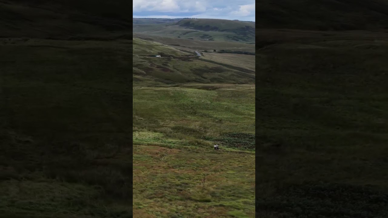 Cheviot hills 