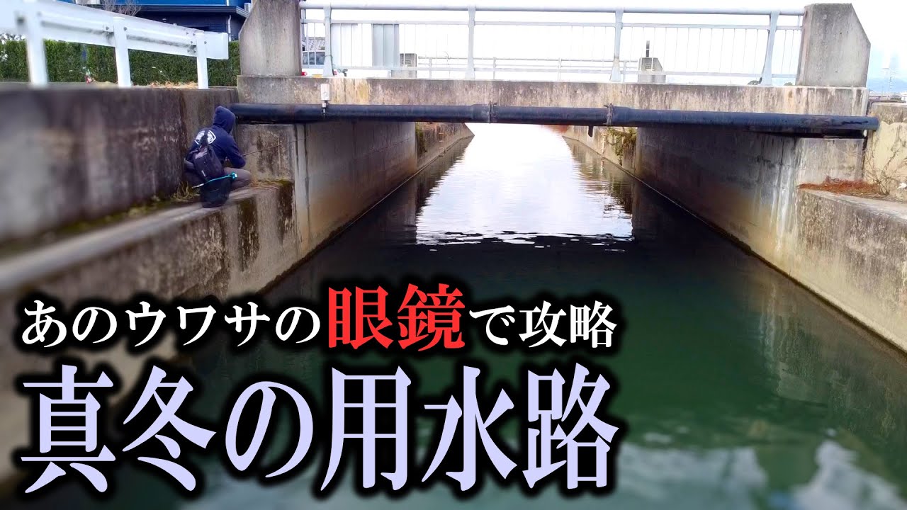 狙って釣れる?!「真冬の柳川クリーク攻略術!!」