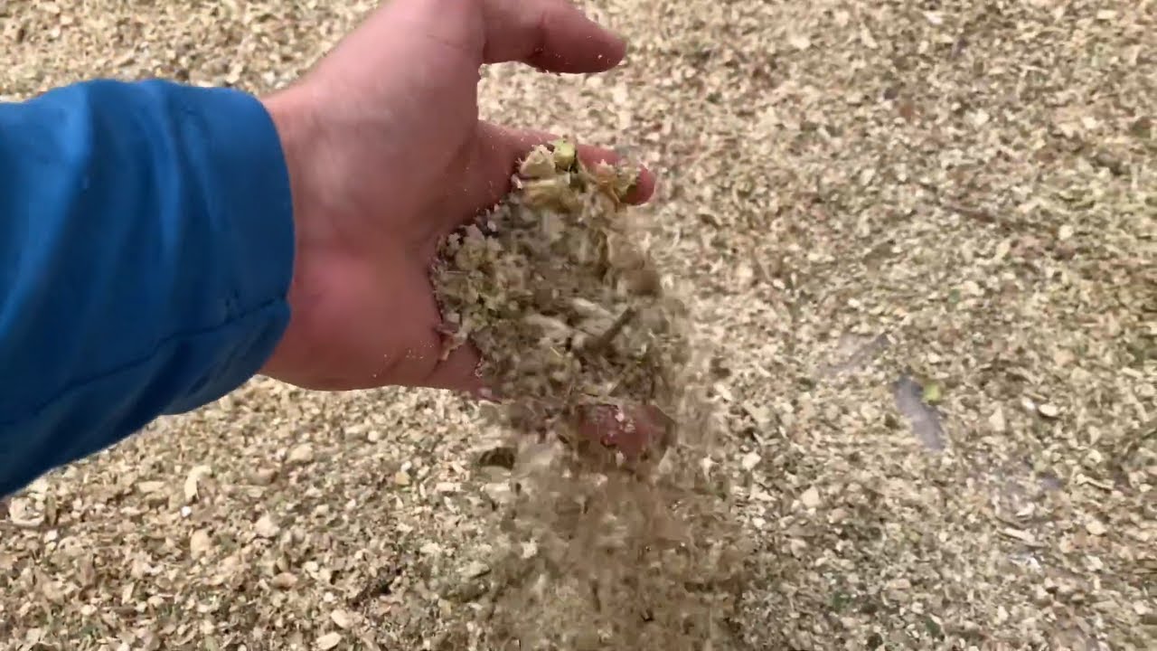 MANIVA DE MANDIOCA PARA RAÇÃO DE ANIMAIS