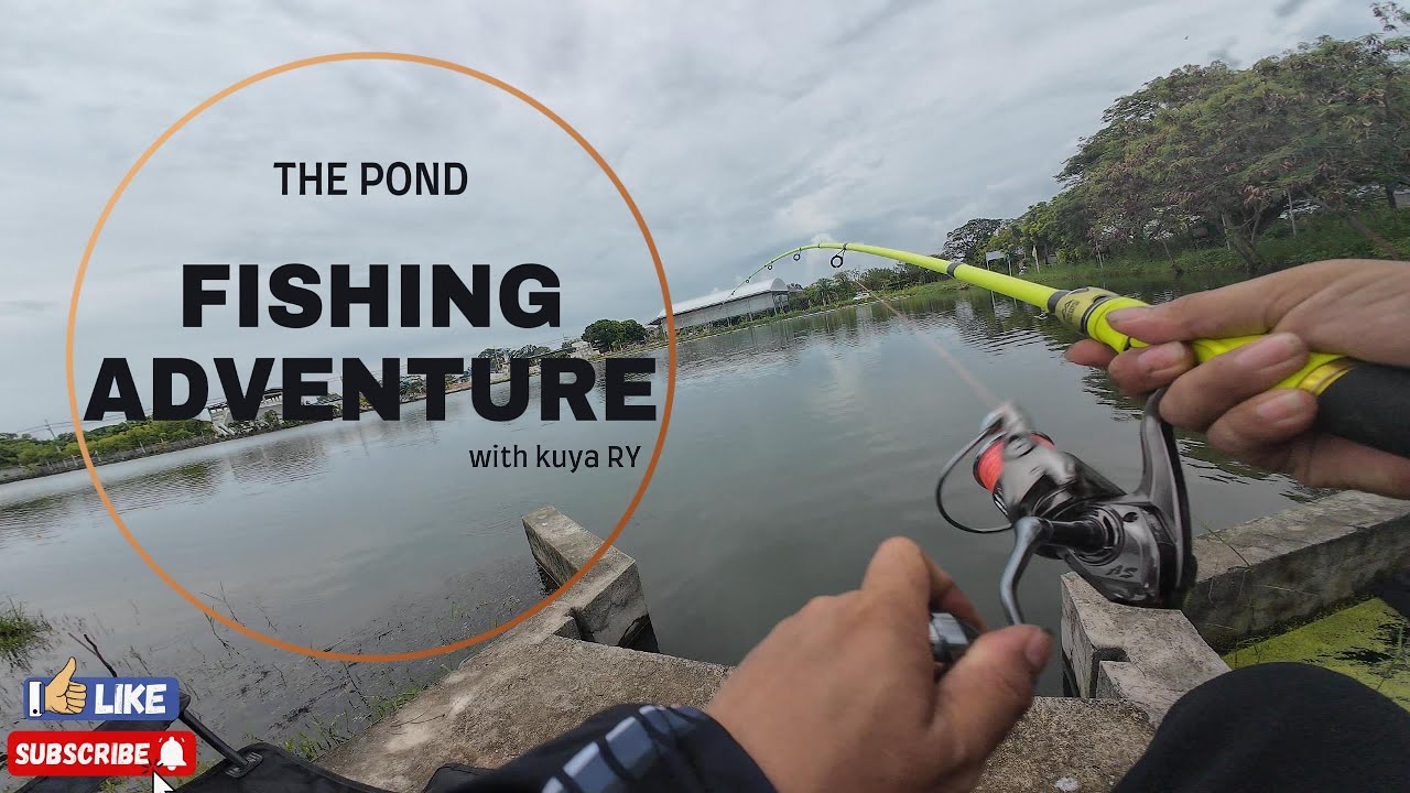 The Pond Fishing Adventure