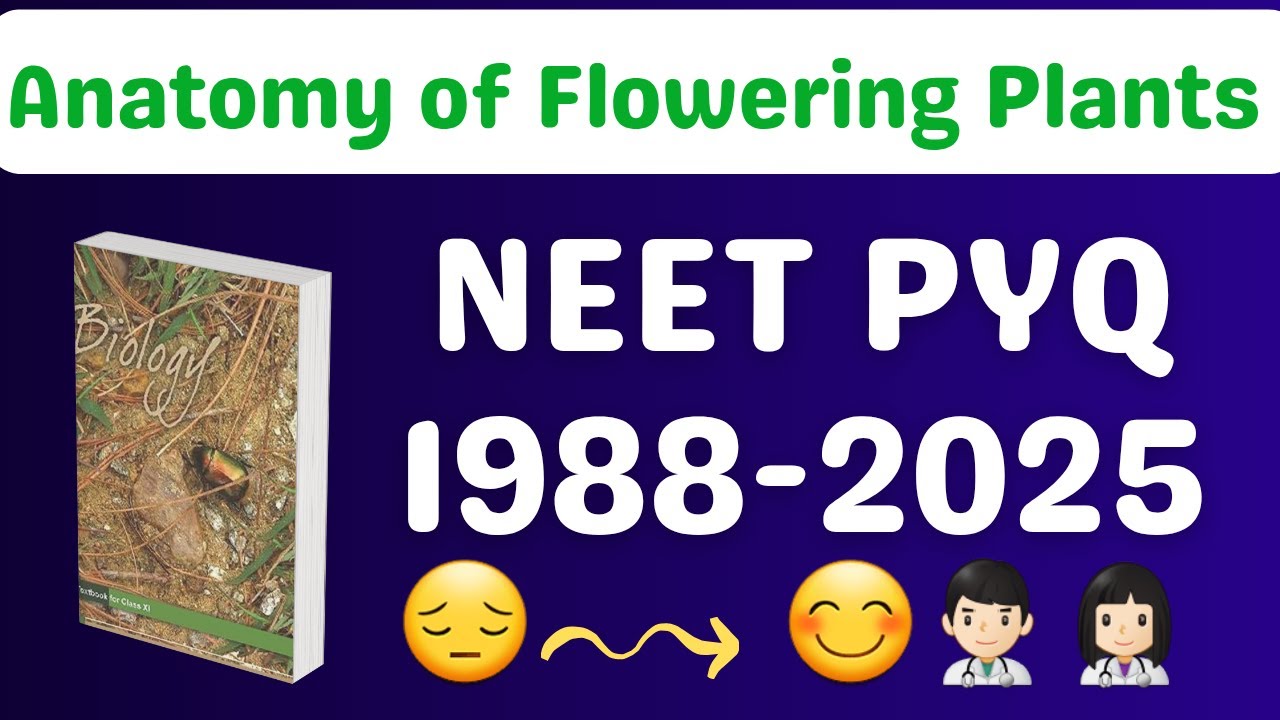 Anatomy of flowering plants class 11 one shot neet pyq