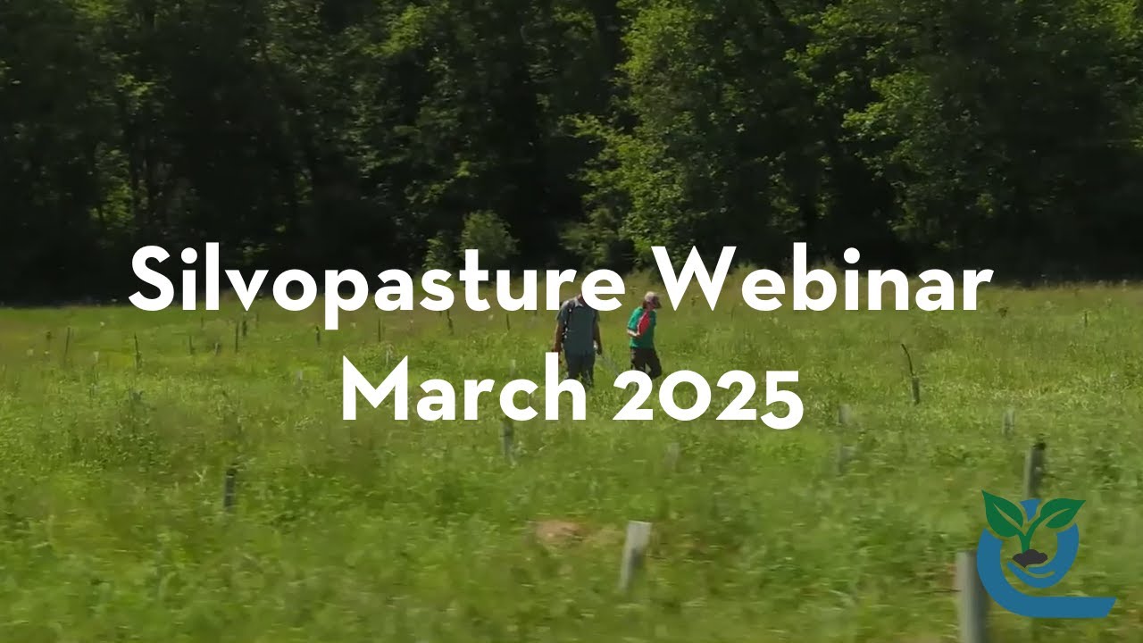 Pierce CD Silvopasture Webinar March 2025