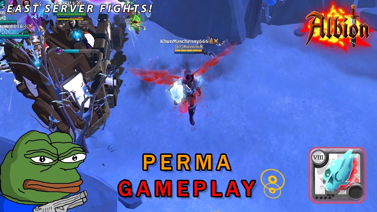 Perma Frost in Kitting Comp | Small Scale & Mid Scale PVP | Albion Online